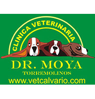 Veterinaria